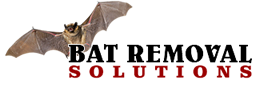 Logo: A bat in flight behind the text 'Bat Removal Solutions'